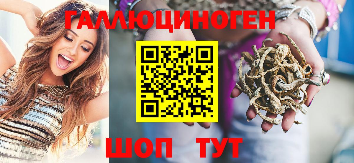 Псилоцибиновые грибы Cubensis Нарткала
